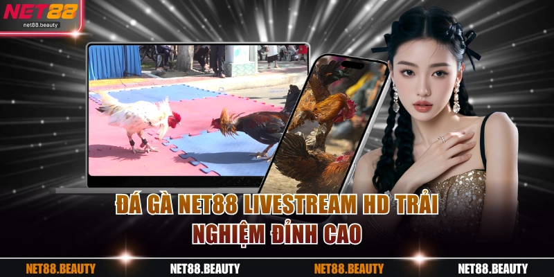 Đá gà NET88 livestream HD trải nghiệm đỉnh cao